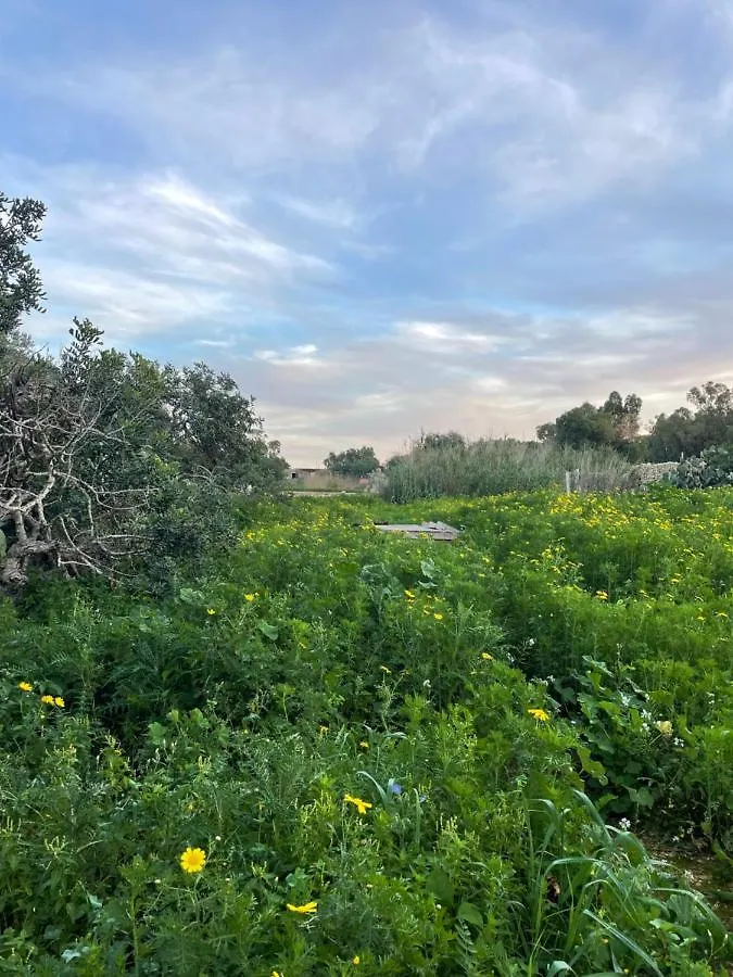 马尔萨斯卡拉Il-Harruba Farmhouse别墅 马尔萨斯卡拉