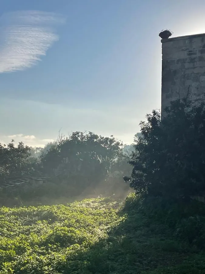 度假居 马尔萨斯卡拉Il-Harruba Farmhouse别墅